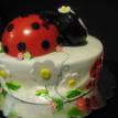Lady bug (SIDE)