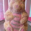 Teddy Bear Cake