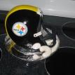Stellers Helmet